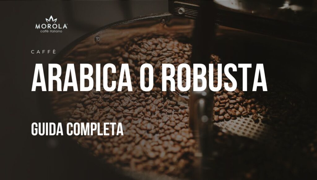 arabica o robusta